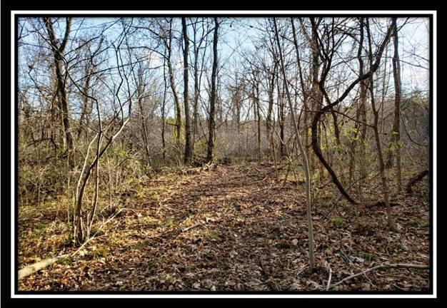 9333 Ridgeview Road Chandlersville, OH 43727 - Photo 32 of 45