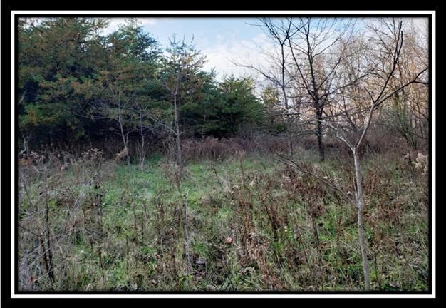 9333 Ridgeview Road Chandlersville, OH 43727 - Photo 34 of 45