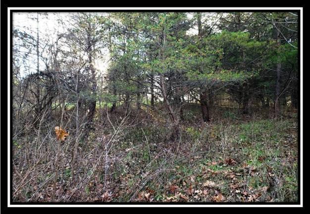 9333 Ridgeview Road Chandlersville, OH 43727 - Photo 35 of 45