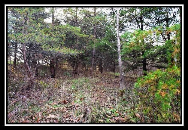 9333 Ridgeview Road Chandlersville, OH 43727 - Photo 36 of 45