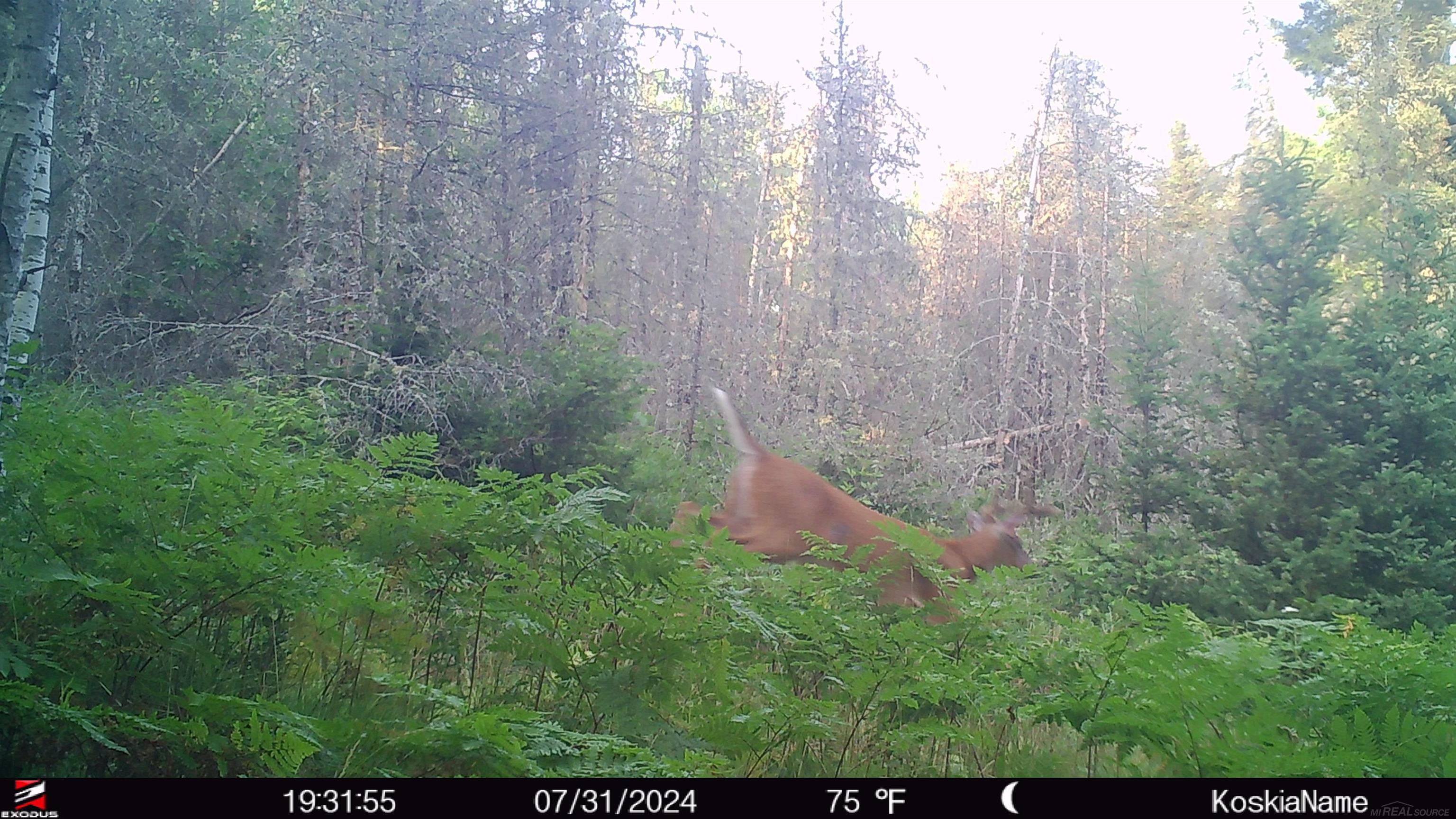 0 County Road Ishpeming, MI 49849 - Photo 85 of 85