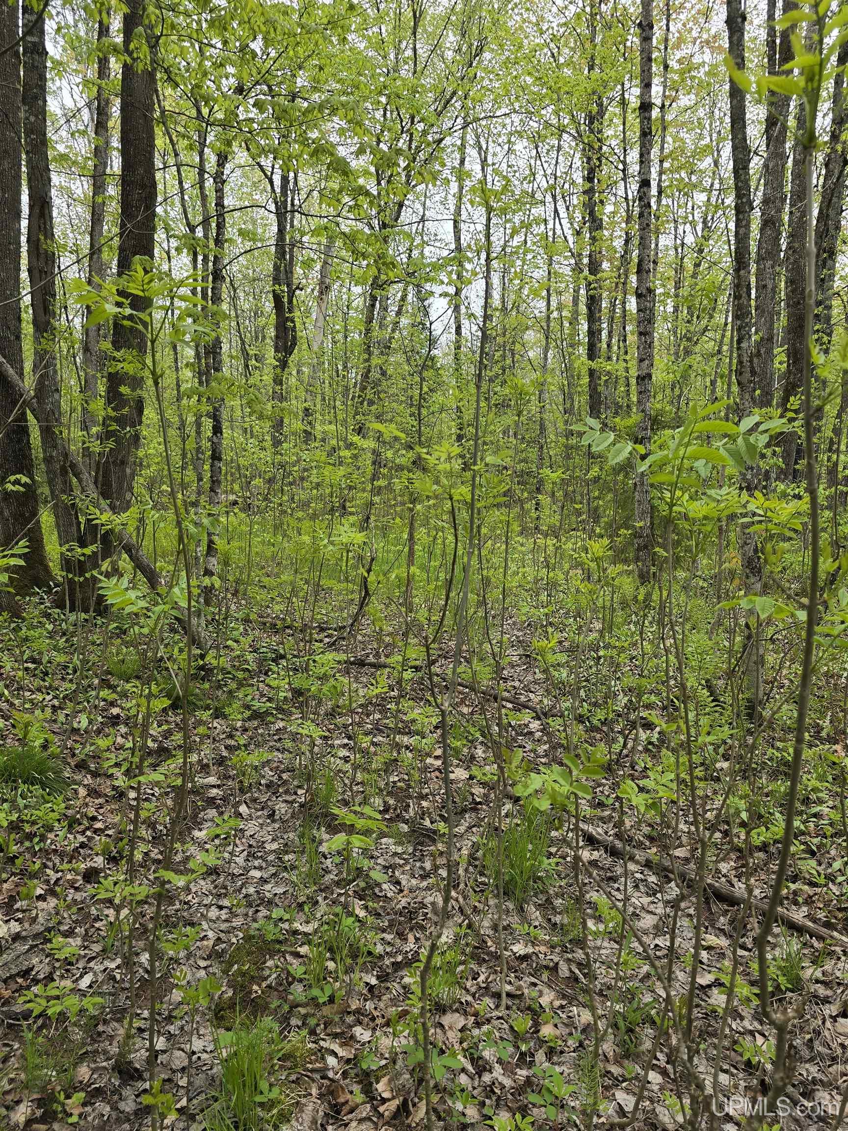 Lot 37 Yellow Road Pelkie, MI 49958 - Photo 32 of 34