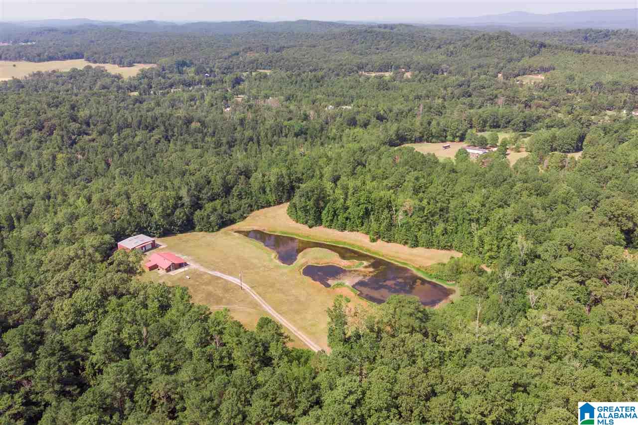 94 Rose Road Vincent, AL 35178 - Photo 33 of 40