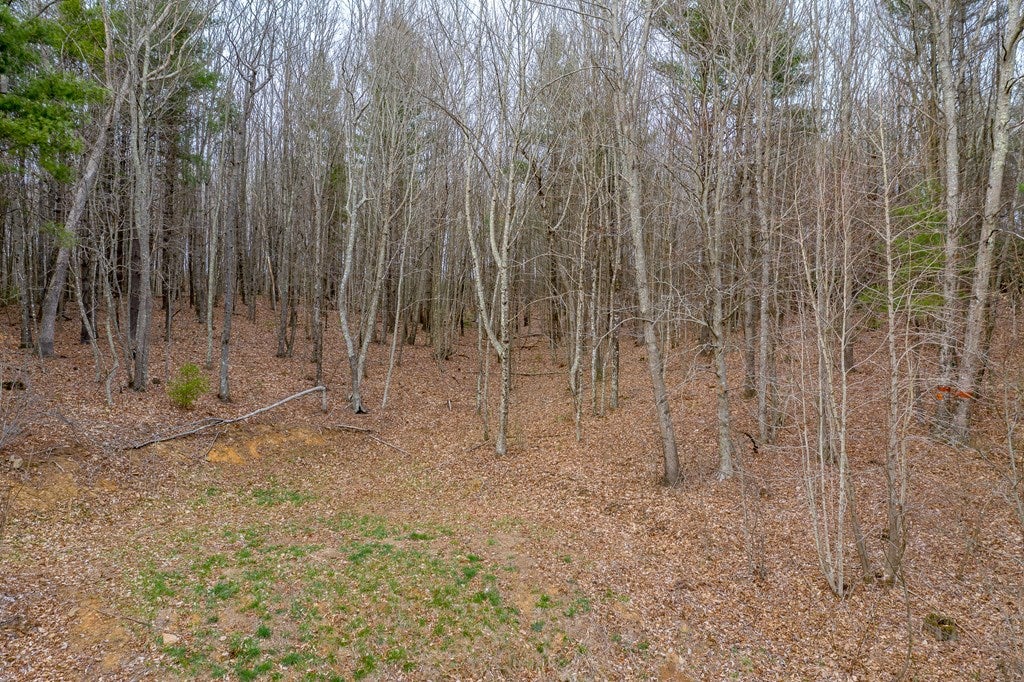 3-acres Winding Ridge Road, Unit 14C Hillsville, VA 24343 - Photo 22 of 35 Gallery Image 22