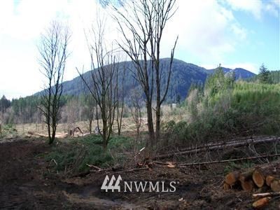 5 Carr Road Randle, WA 98377 - Photo 1 of 1 Gallery Image 1