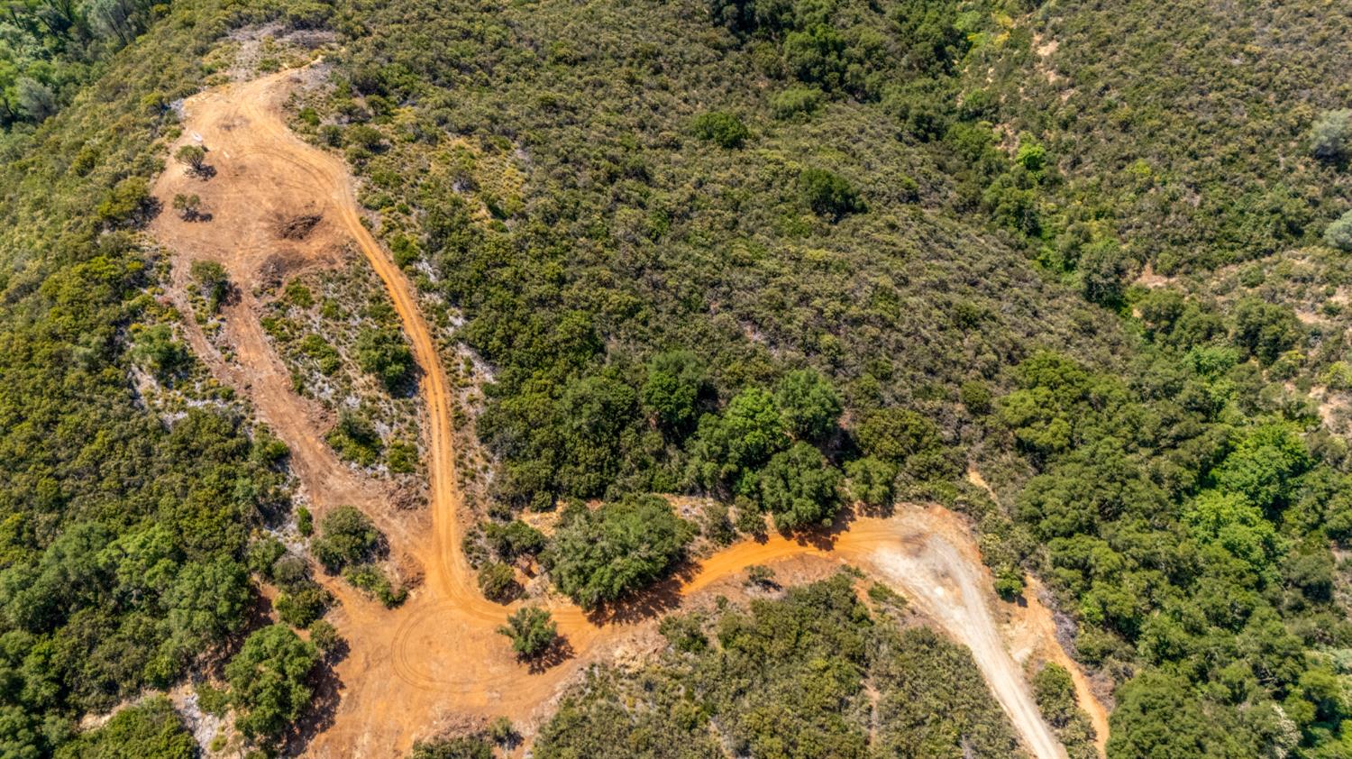 8489 White Hawk Road Shingle Springs, CA 95682 - Photo 20 of 23 a view of a forest with a tree
