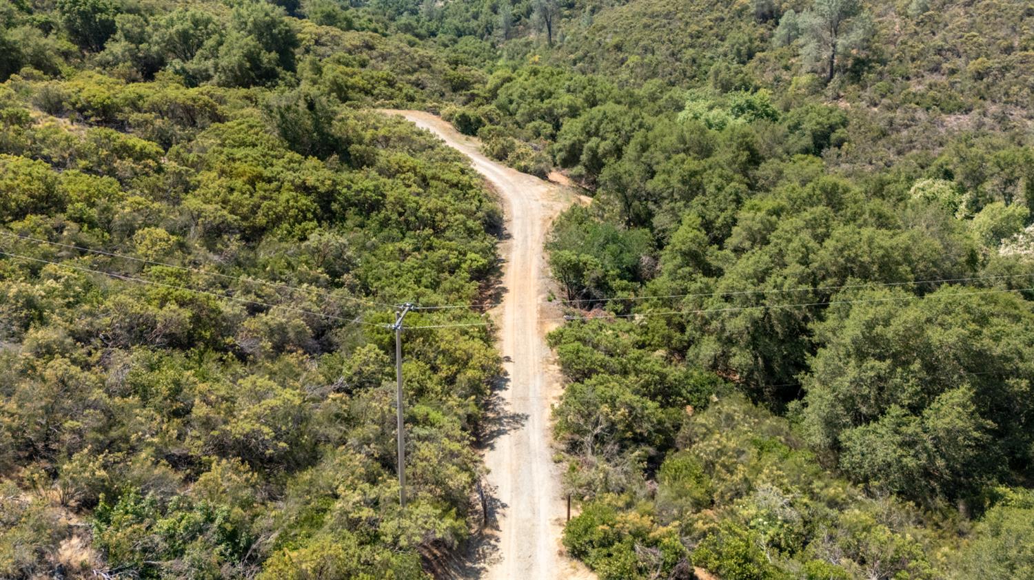 8489 White Hawk Road Shingle Springs, CA 95682 - Photo 4 of 23 a view of a forest with houses