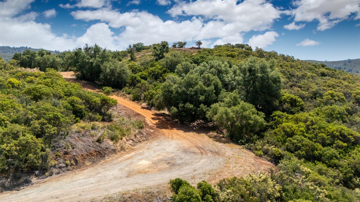 8489 White Hawk Road Shingle Springs, CA 95682 - Photo 5 of 23 a view of a bunch of plants