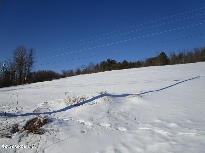 0 West Fulton Road Warnerville, NY 12187 - Photo 1 of 13 IMG_4477