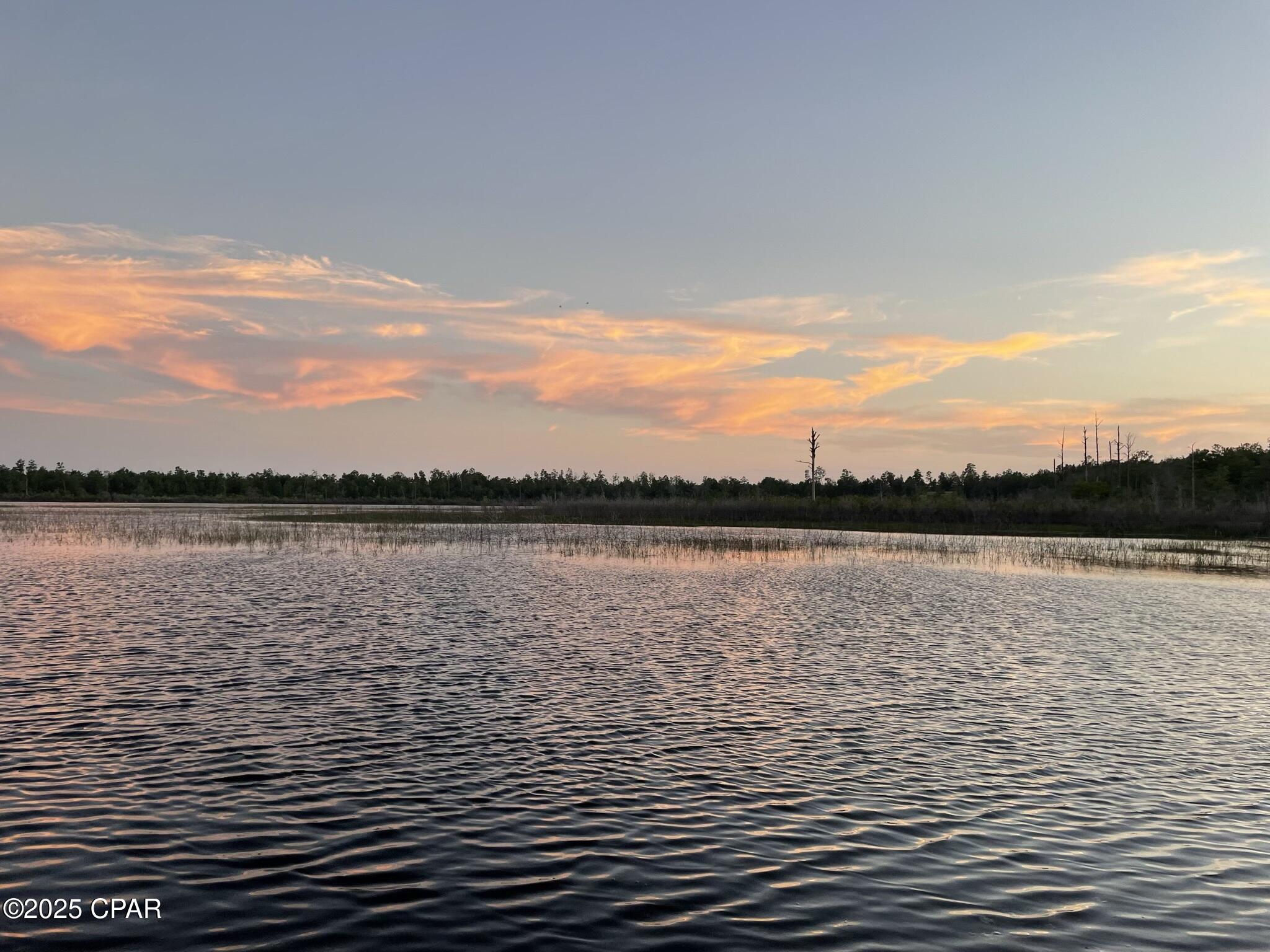 4801 Lake Ridge Drive Chipley, FL 32428 - Photo 11 of 13