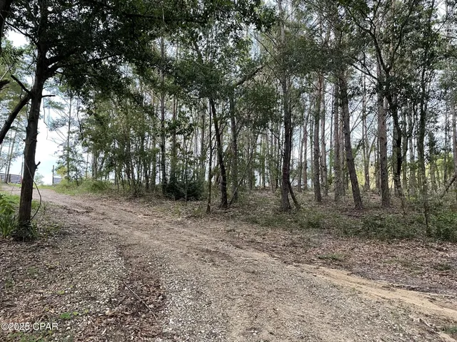 $145,000 | 4801 Lake Ridge Drive, Chipley, FL 32428