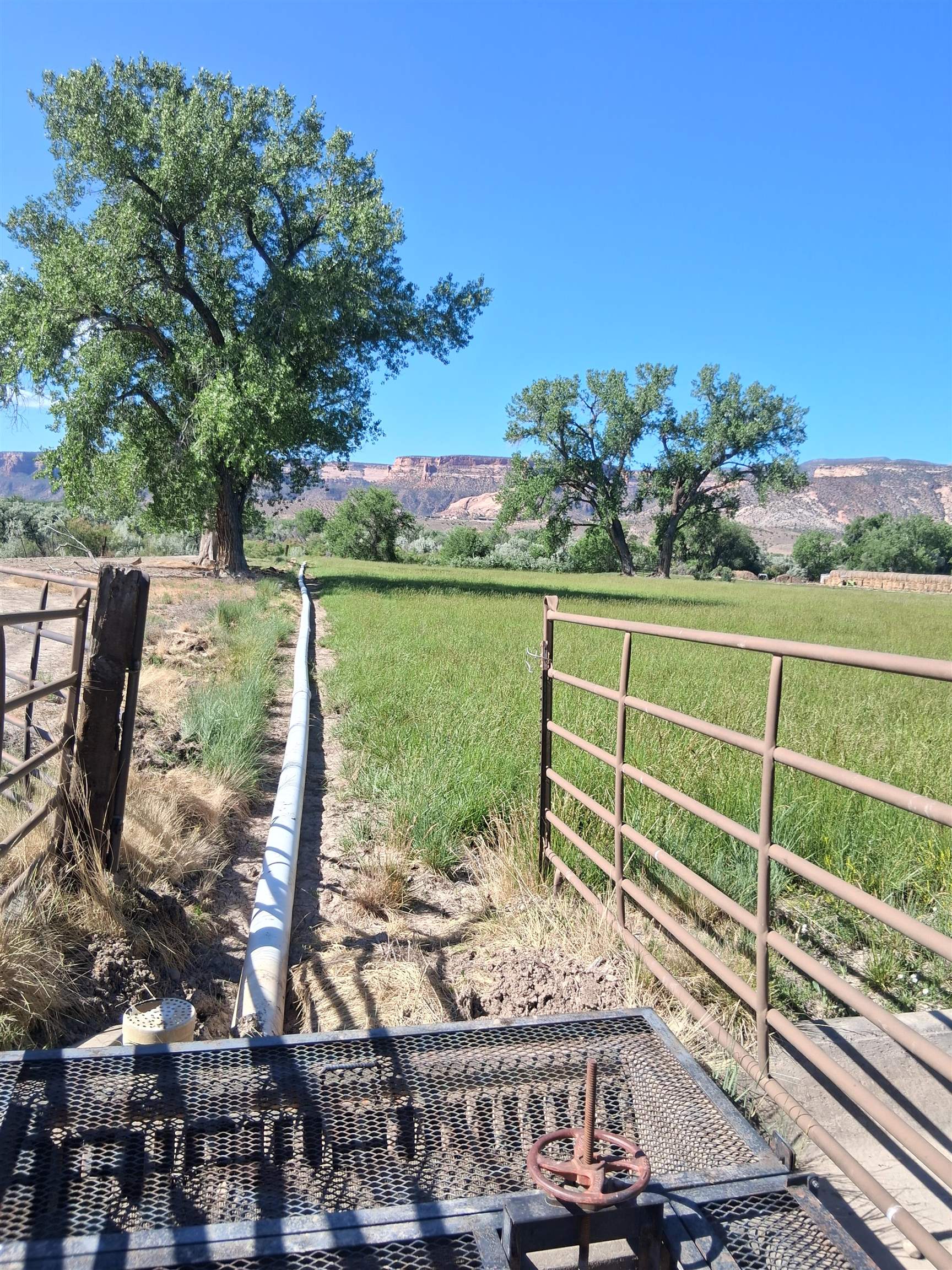 1983 River Road Fruita, CO 81521 - Photo 11 of 14