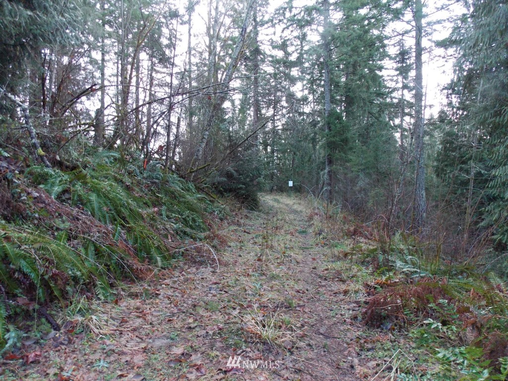 14705 Vail Cut Off Road Southeast Rainier, WA 98576 - Photo 1 of 11 Gallery Image 1