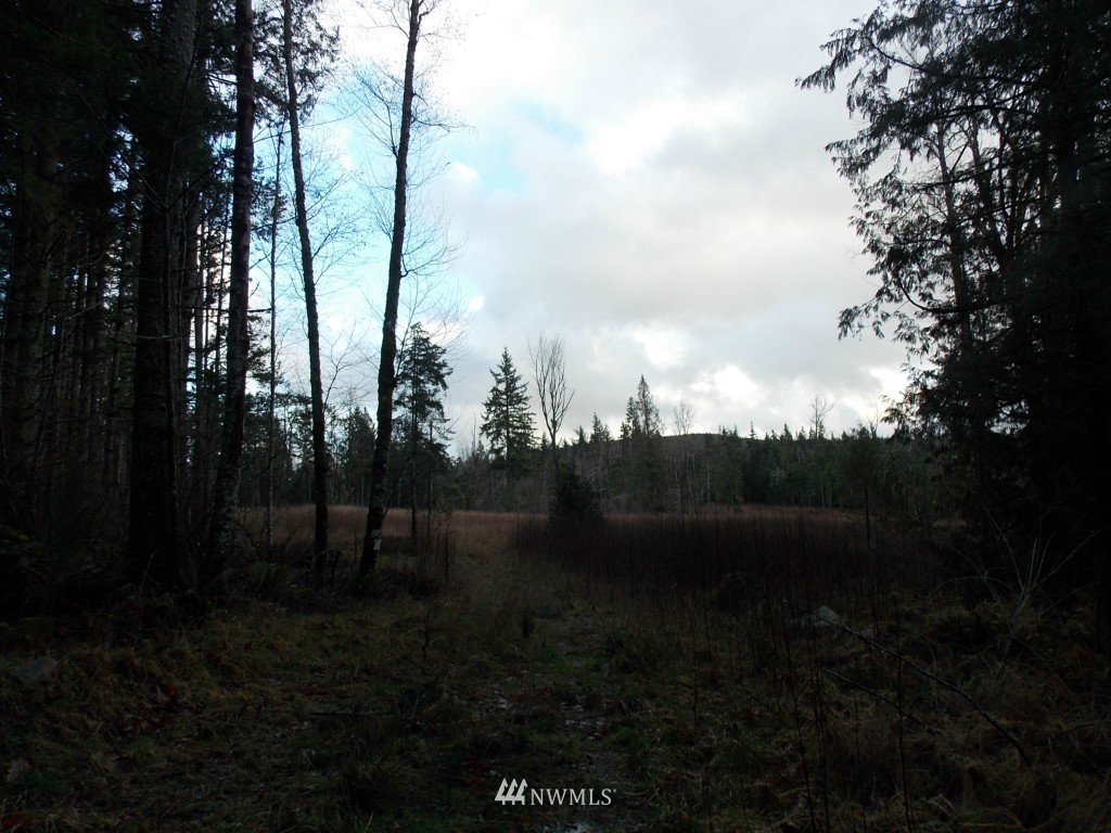 14705 Vail Cut Off Road Southeast Rainier, WA 98576 - Photo 3 of 11 Gallery Image 3