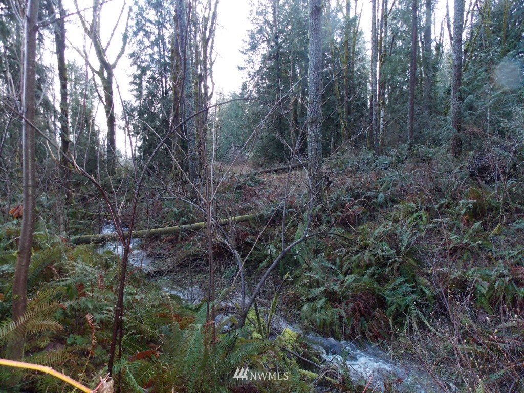 14705 Vail Cut Off Road Southeast Rainier, WA 98576 - Photo 5 of 11 Gallery Image 5