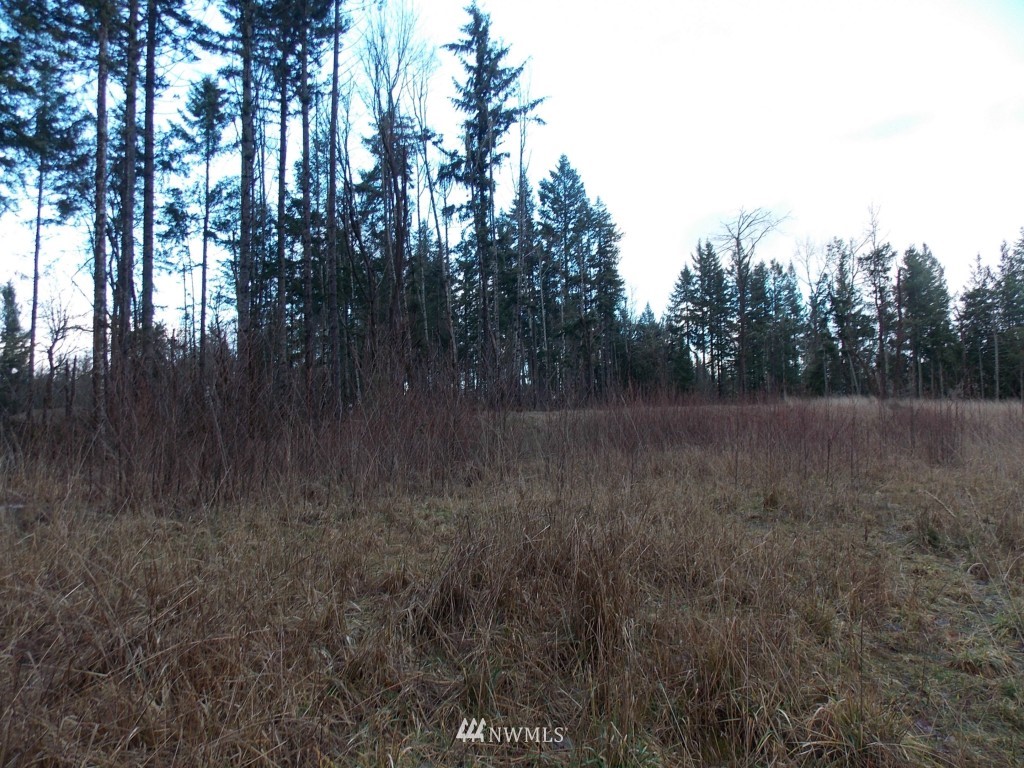 14705 Vail Cut Off Road Southeast Rainier, WA 98576 - Photo 6 of 11 Gallery Image 6
