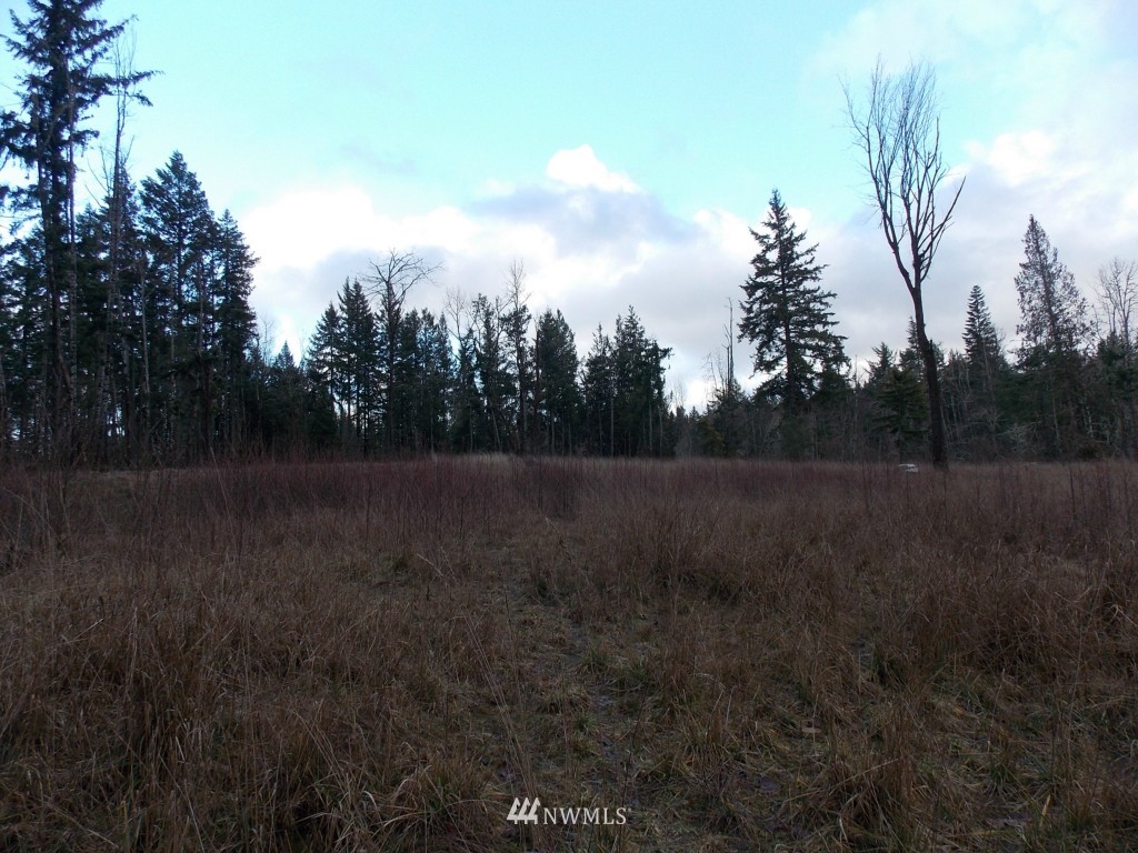14705 Vail Cut Off Road Southeast Rainier, WA 98576 - Photo 7 of 11 Gallery Image 7