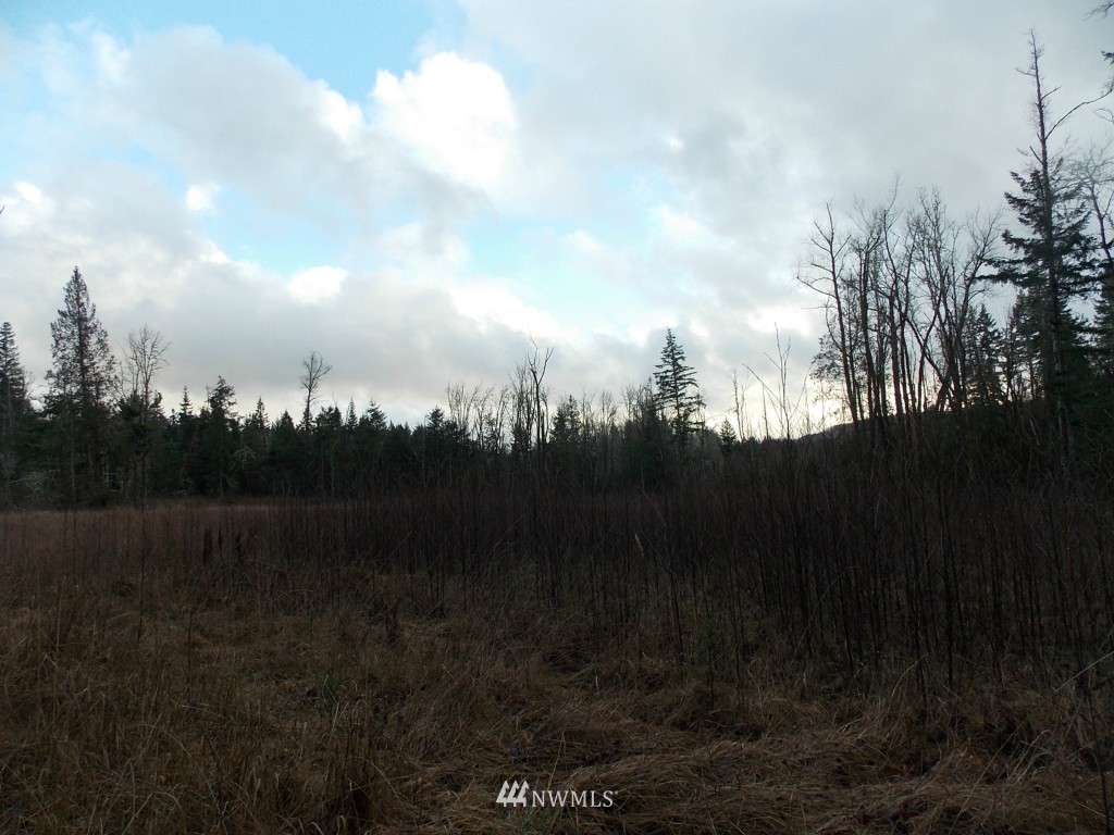 14705 Vail Cut Off Road Southeast Rainier, WA 98576 - Photo 8 of 11 Gallery Image 8