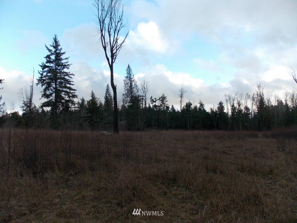 14705 Vail Cut Off Road Southeast Rainier, WA 98576 - Photo 10 of 11 Gallery Image 10