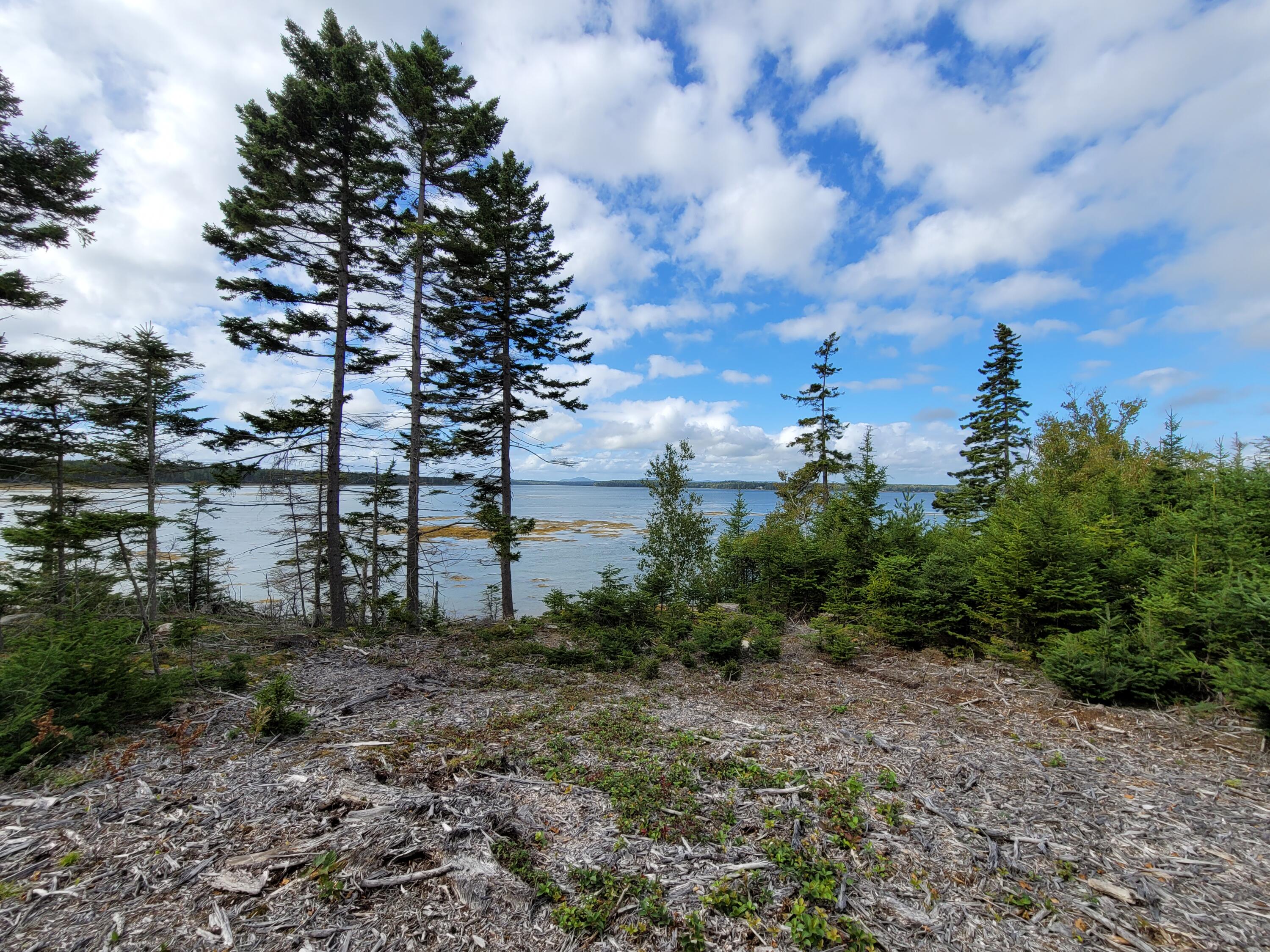 36 Peninsula Shores Road Corea, ME 04624 - Photo 10 of 13 Waters Edge