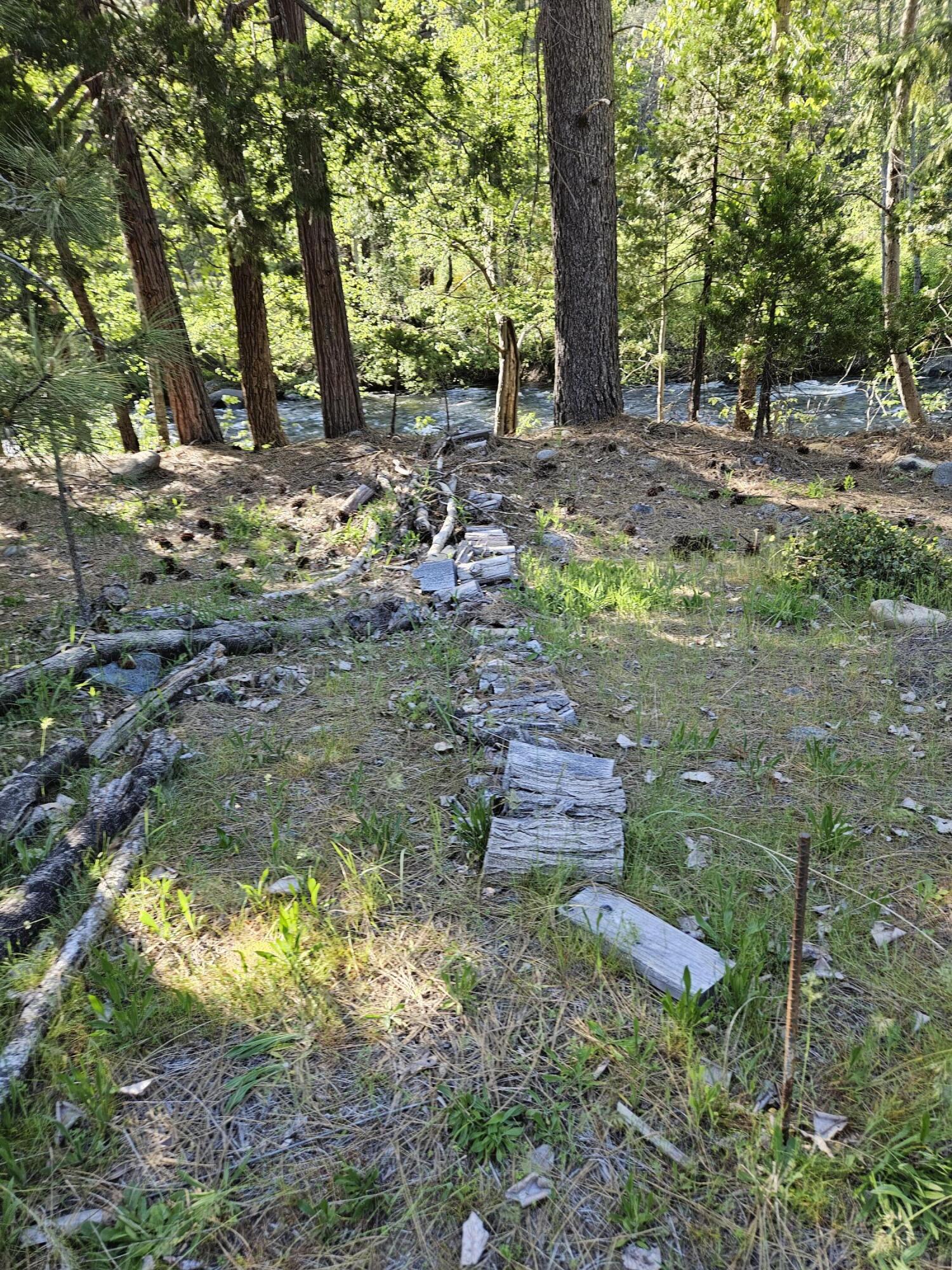 South 1st Street Dunsmuir, CA 96025 - Photo 12 of 18 a view of a yard with large trees