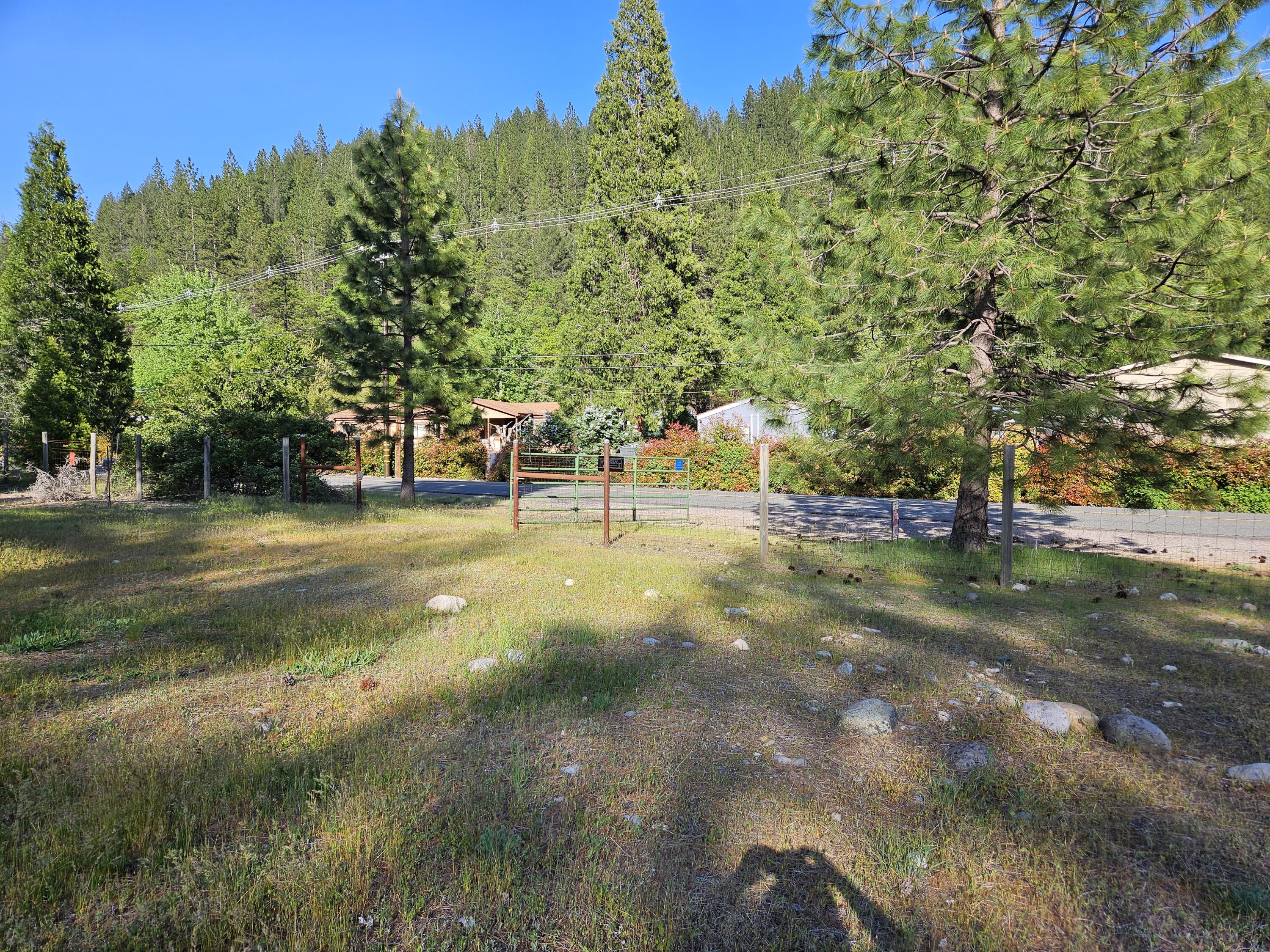South 1st Street Dunsmuir, CA 96025 - Photo 13 of 18 a view of a tree in a yard