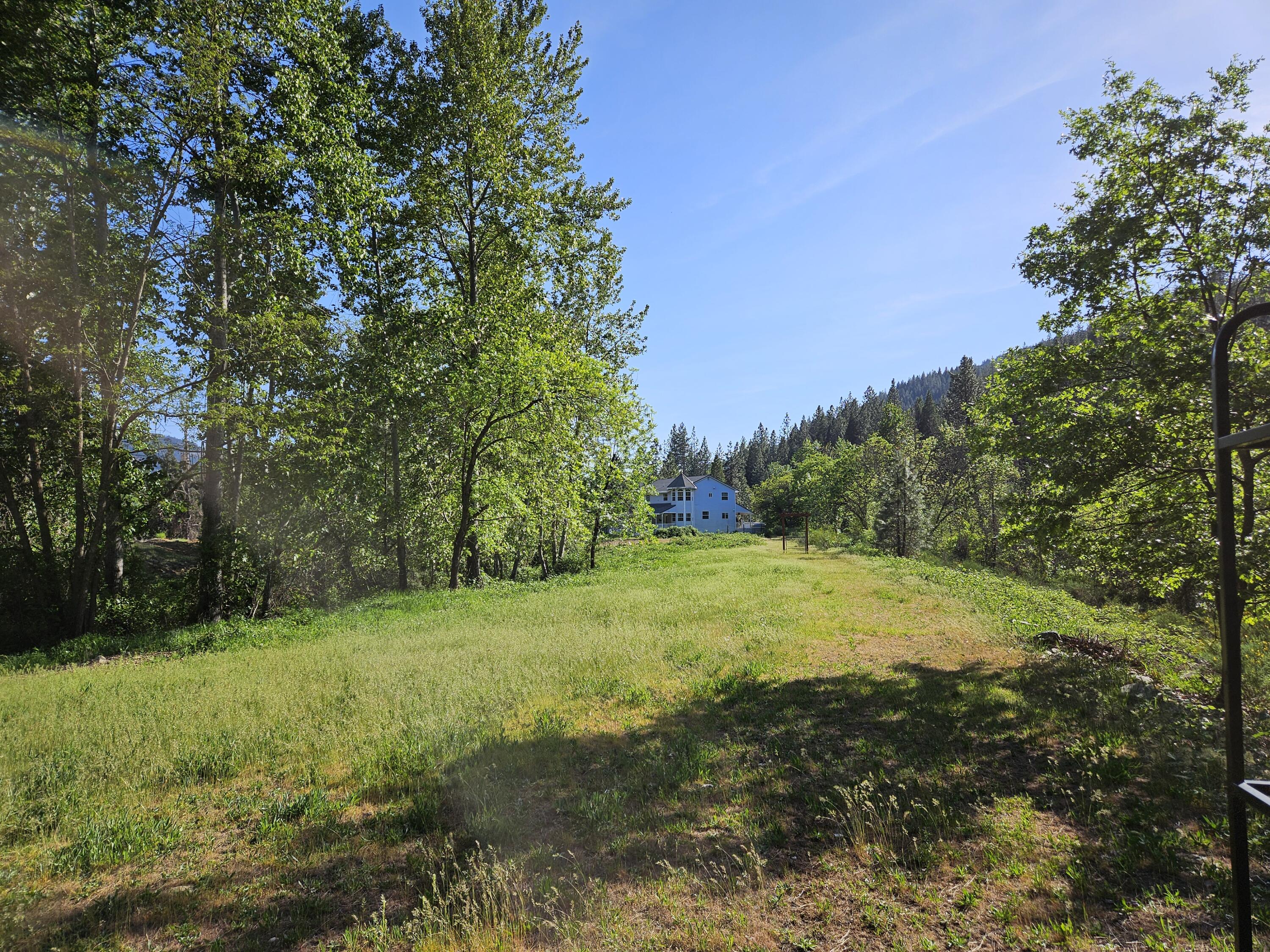 South 1st Street Dunsmuir, CA 96025 - Photo 2 of 18 a view of a big yard with lots of green space