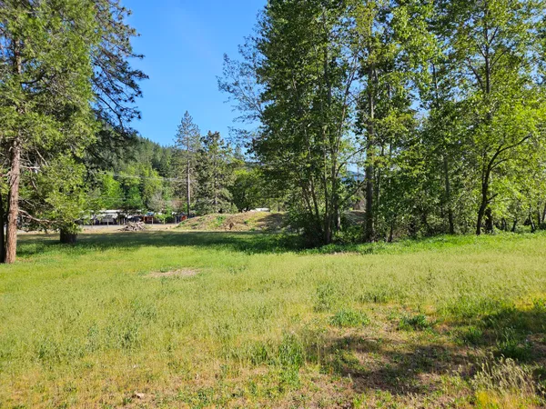 a view of a grassy area with an trees