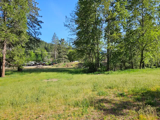 a view of a grassy area with an trees