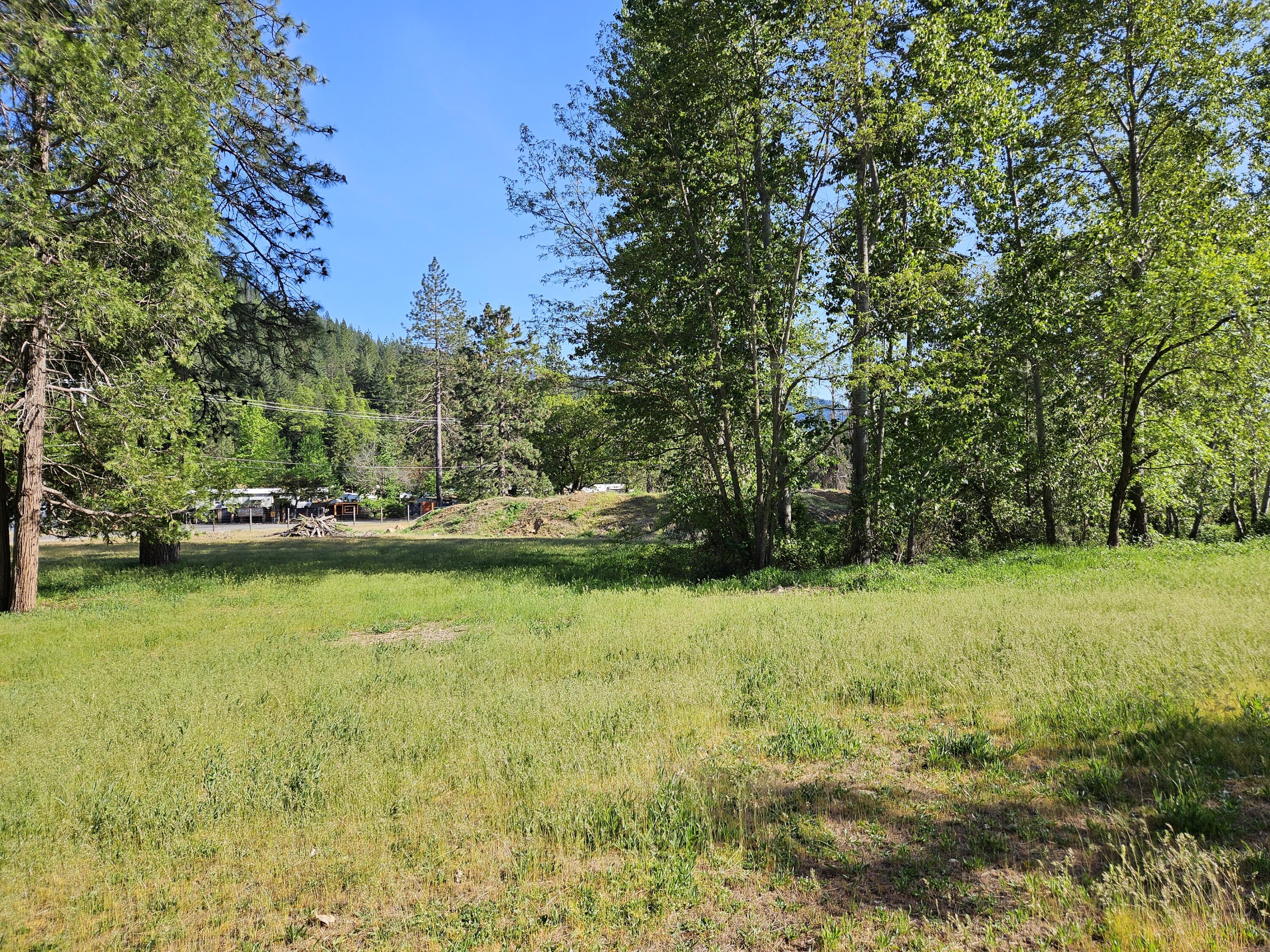 South 1st Street Dunsmuir, CA 96025 - Photo 3 of 18 a view of a grassy area with an trees