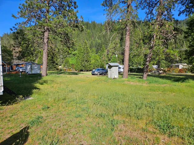 a view of a trees with a yard