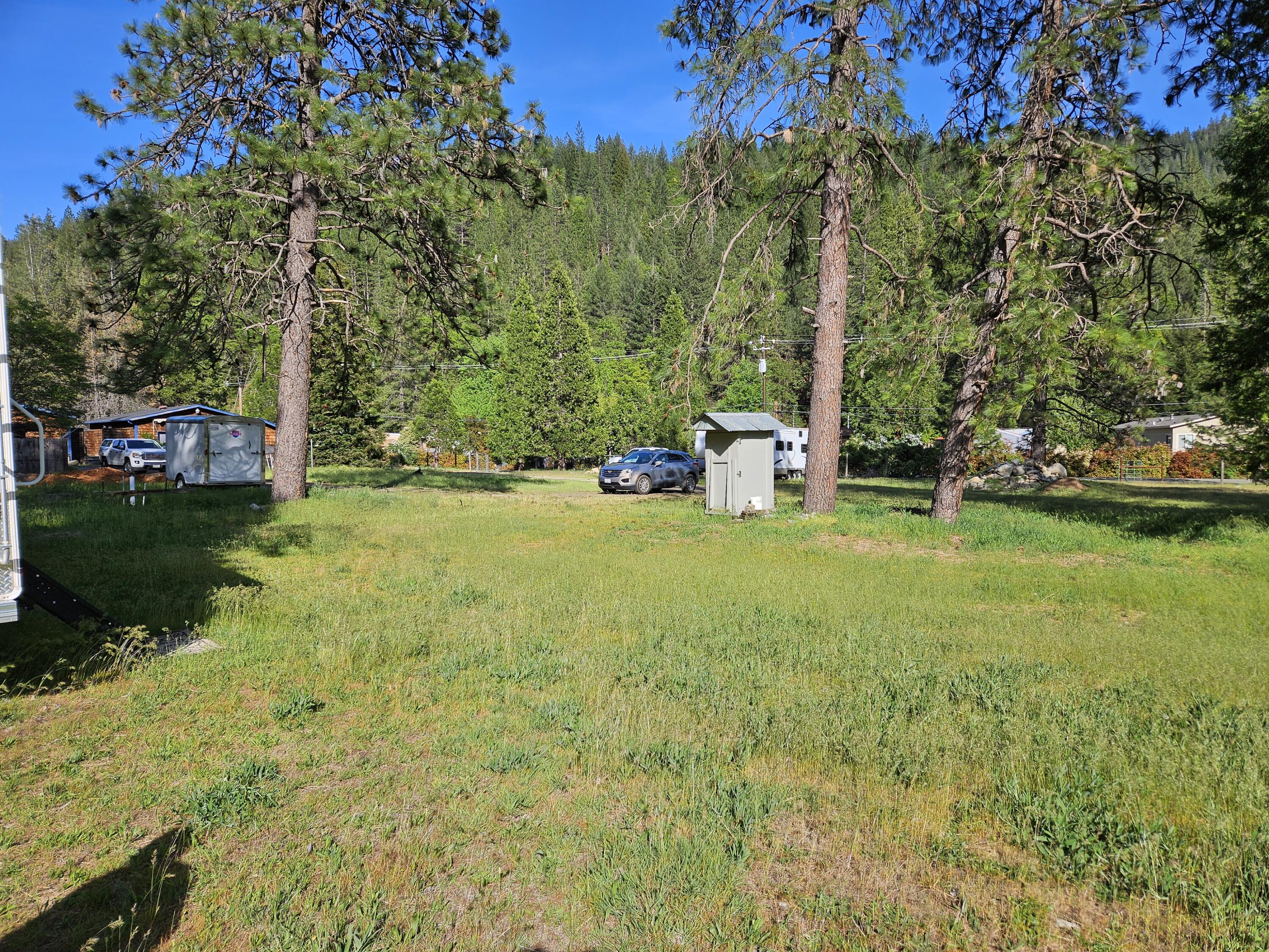 South 1st Street Dunsmuir, CA 96025 - Photo 5 of 18 a view of a trees with a yard