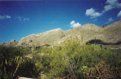 4254 East Allison Road Tucson, AZ 85712 - Photo 9 of 9 Gallery Image 9