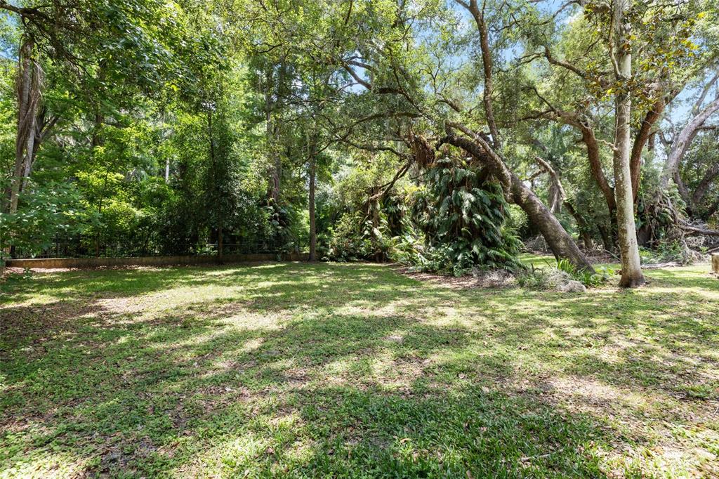 181 North Smokey Mountain Road Seffner, FL 33584 - Photo 35 of 61