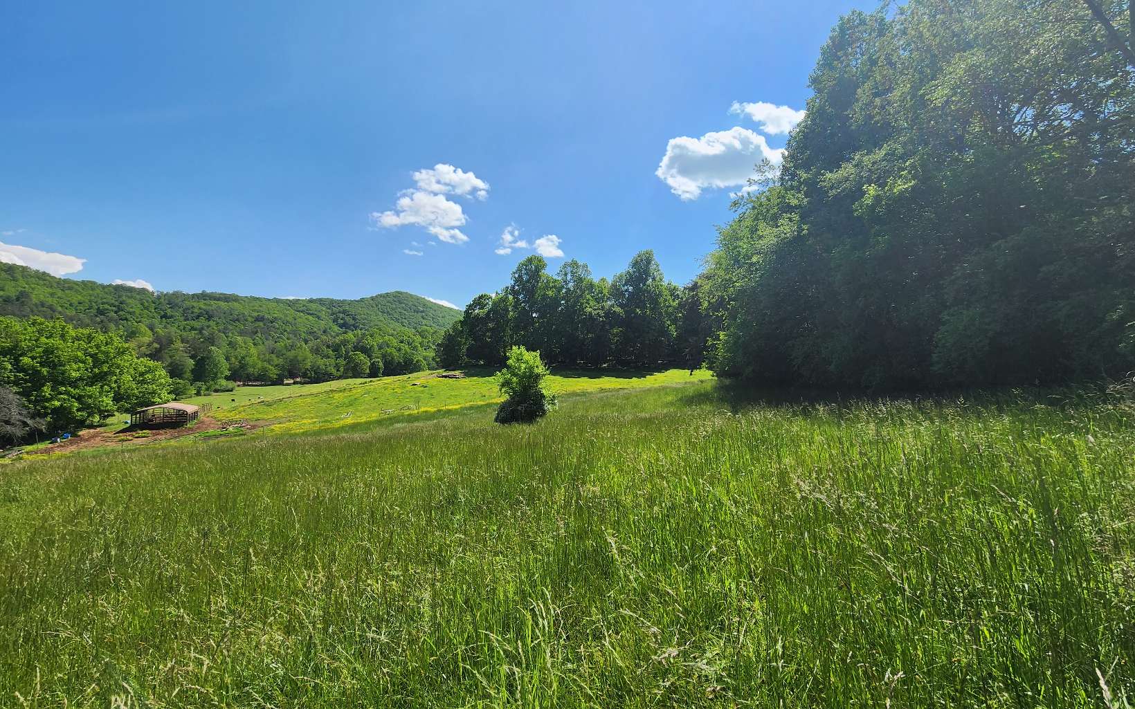 Carter Cove Road Hayesville, NC 28904 - Photo 5 of 13 Additional View
