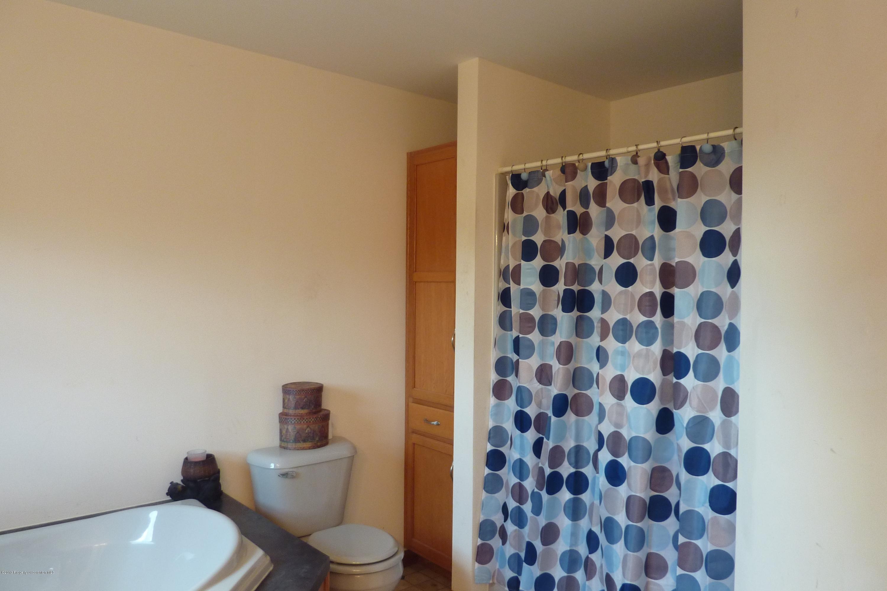 4110 Bear Brook Road Moscow, PA 18444 - Photo 17 of 31 a bathroom with a toilet and a shower
