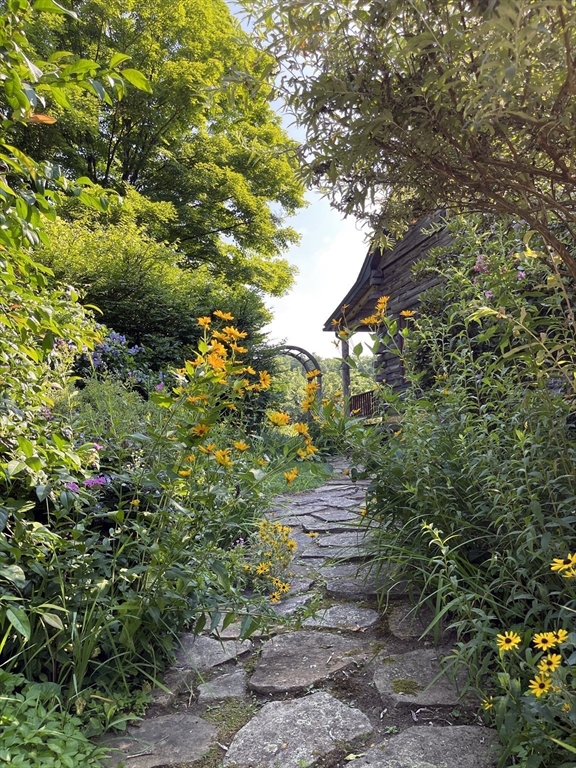 63 Montague Road Leverett, MA 01054 - Photo 33 of 42 a view of a garden with plants