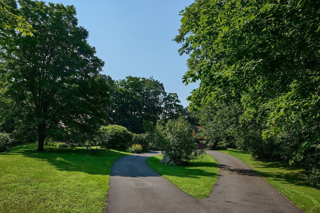63 Montague Road Leverett, MA 01054 - Photo 35 of 42 a view of a park with plants and a trees