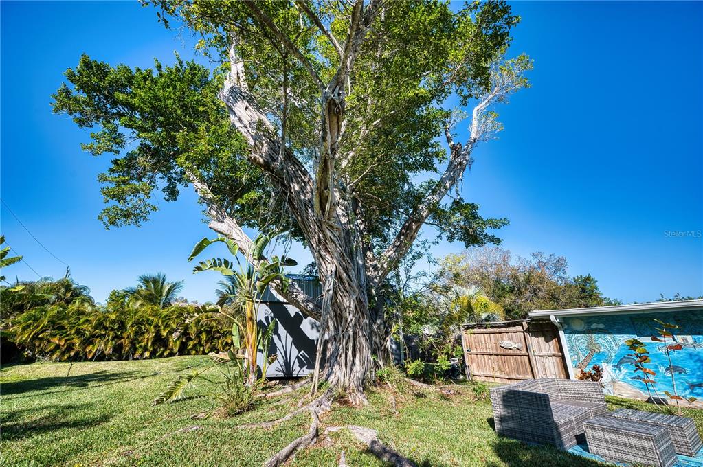 1027 Coral Ridge Drive Punta Gorda, FL 33950 - Photo 30 of 46 a backyard of a house with lots of green space