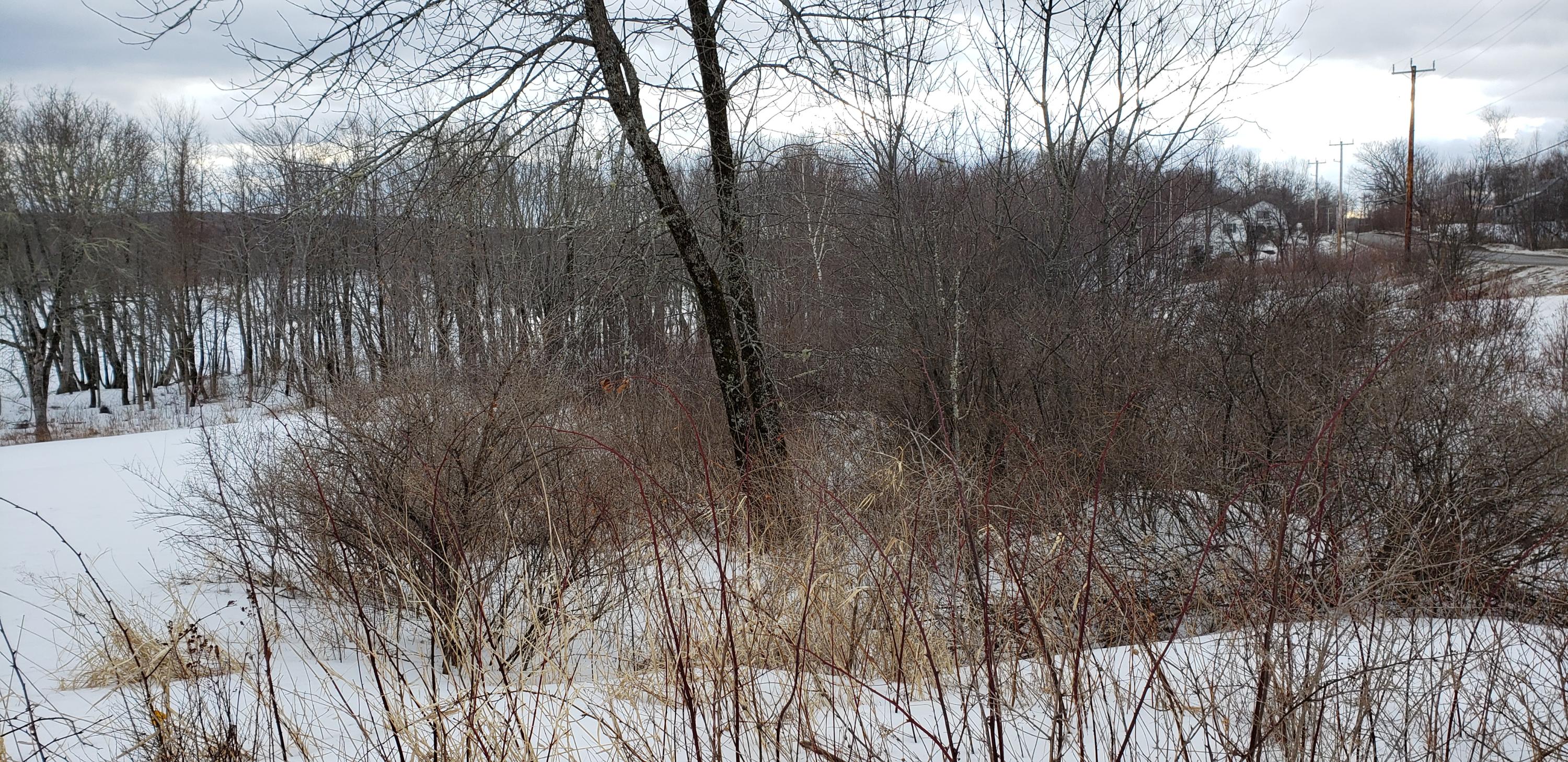 781 North Chester Road Lincoln, ME 04457 - Photo 20 of 74 781 N. Chester Road (139)