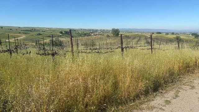 10011 Tesla Road Livermore, CA 94550 - Photo 4 of 7