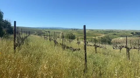 $2,980,000 | 10011 Tesla Road, Livermore, CA 94550