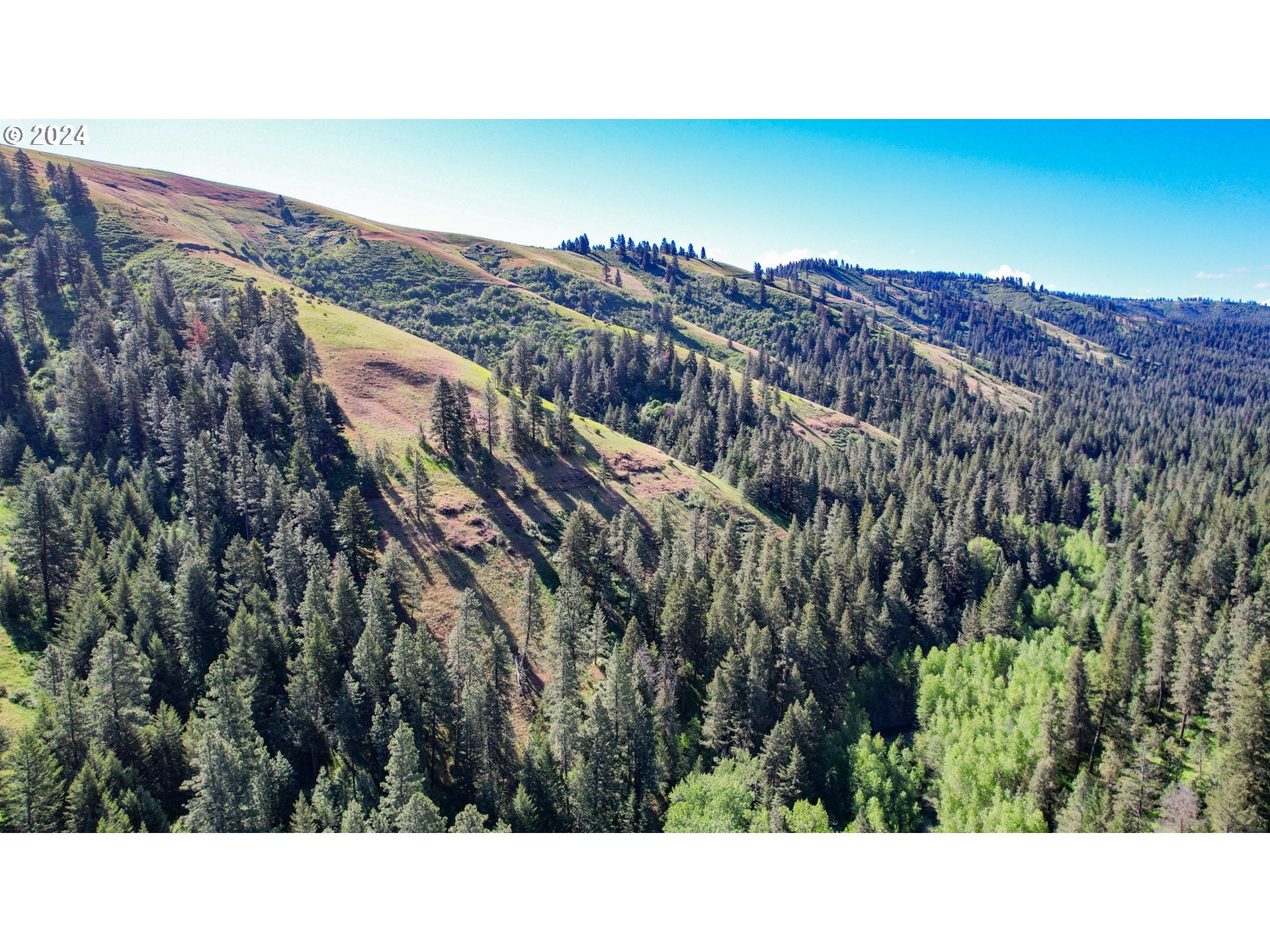 332 Wolf Fork Road Dayton, WA 99328 - Photo 11 of 27