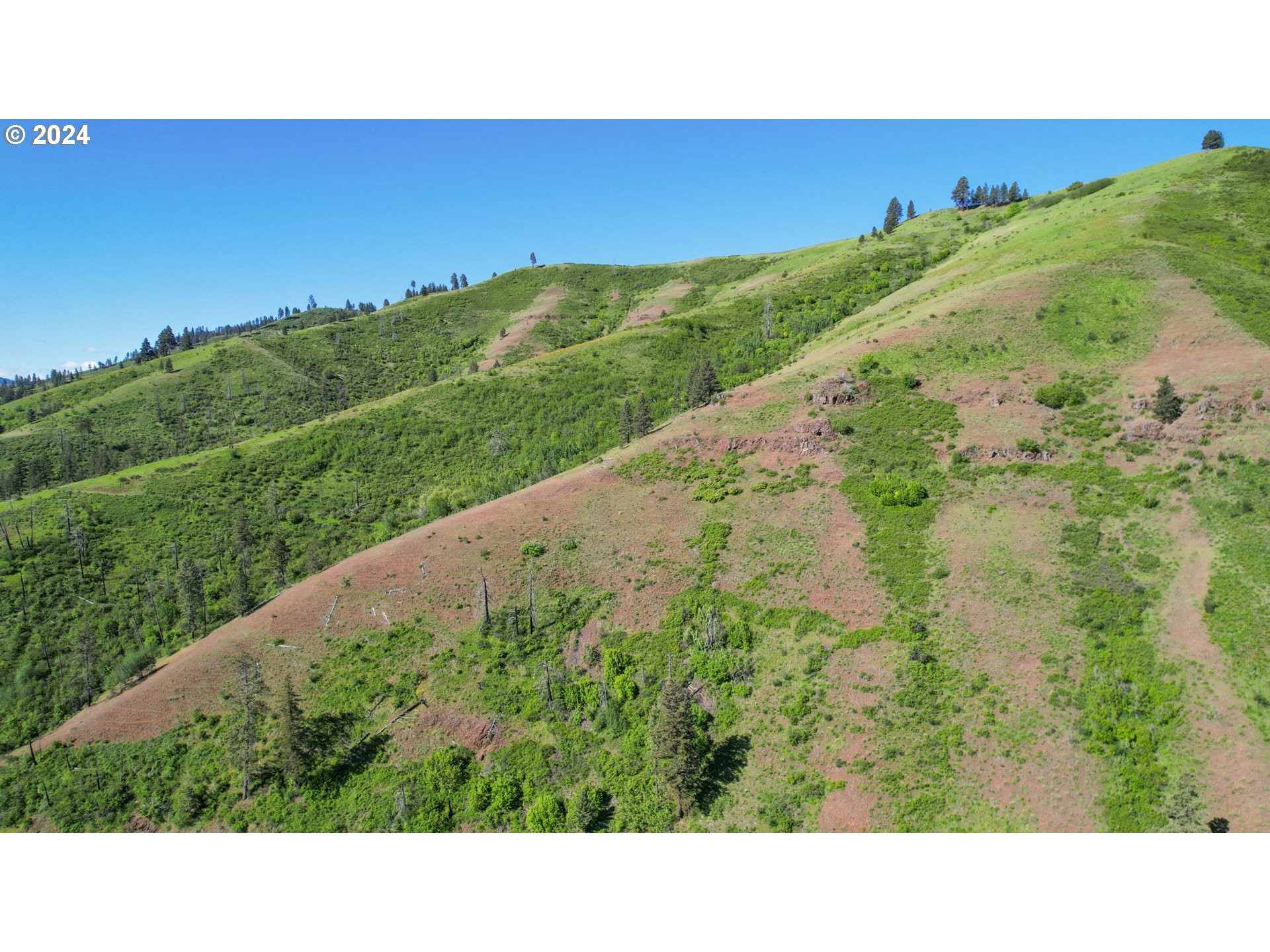 332 Wolf Fork Road Dayton, WA 99328 - Photo 14 of 27