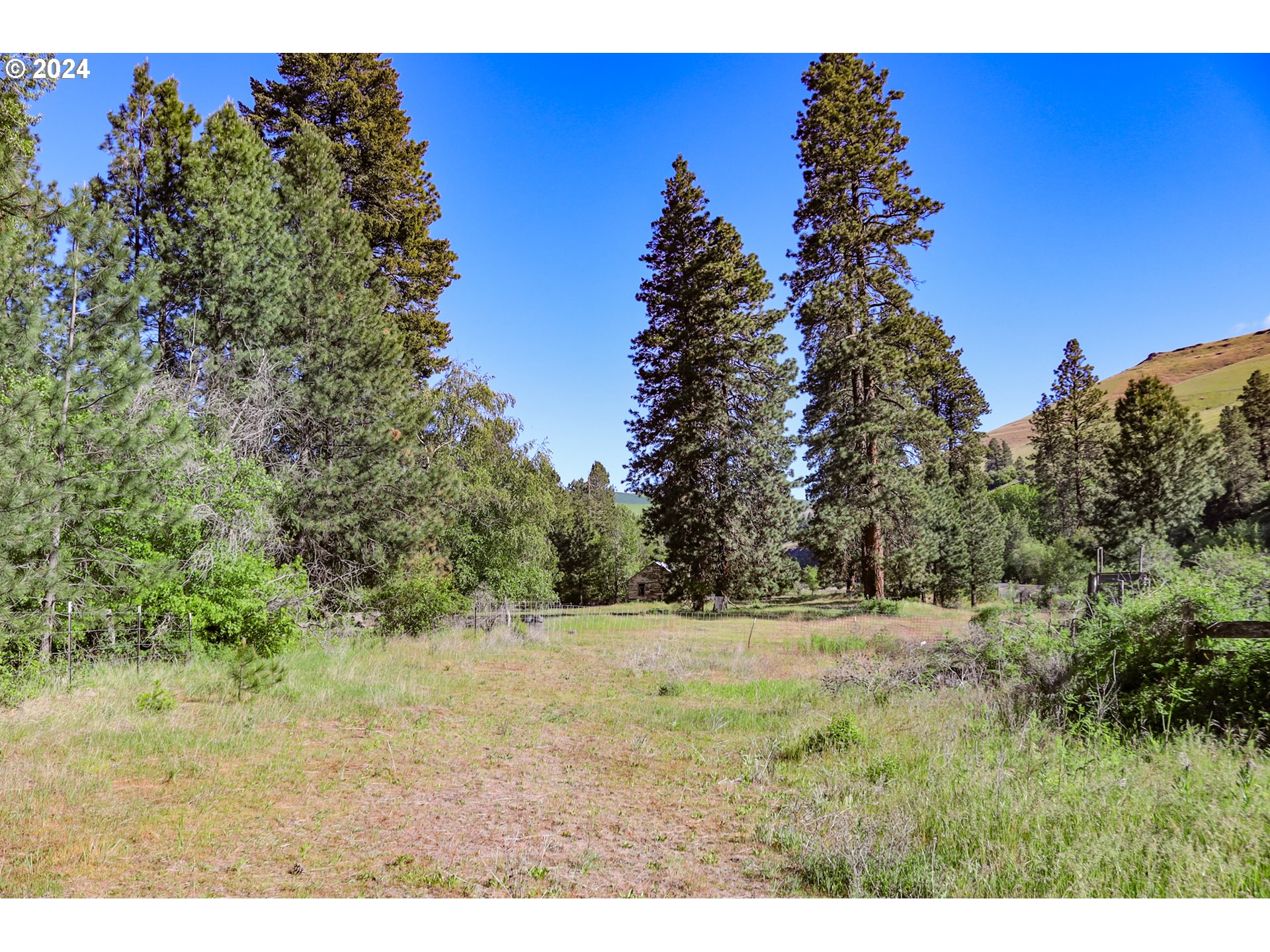 332 Wolf Fork Road Dayton, WA 99328 - Photo 16 of 27