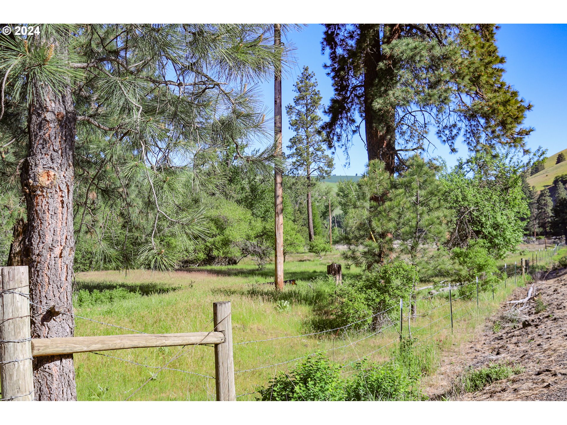 332 Wolf Fork Road Dayton, WA 99328 - Photo 17 of 27