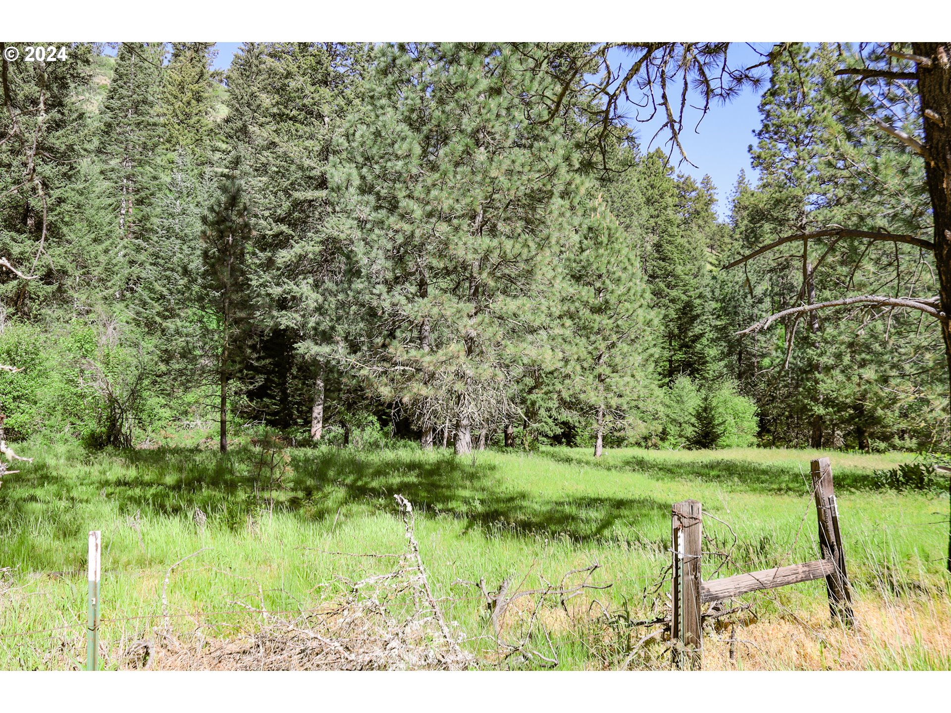 332 Wolf Fork Road Dayton, WA 99328 - Photo 18 of 27
