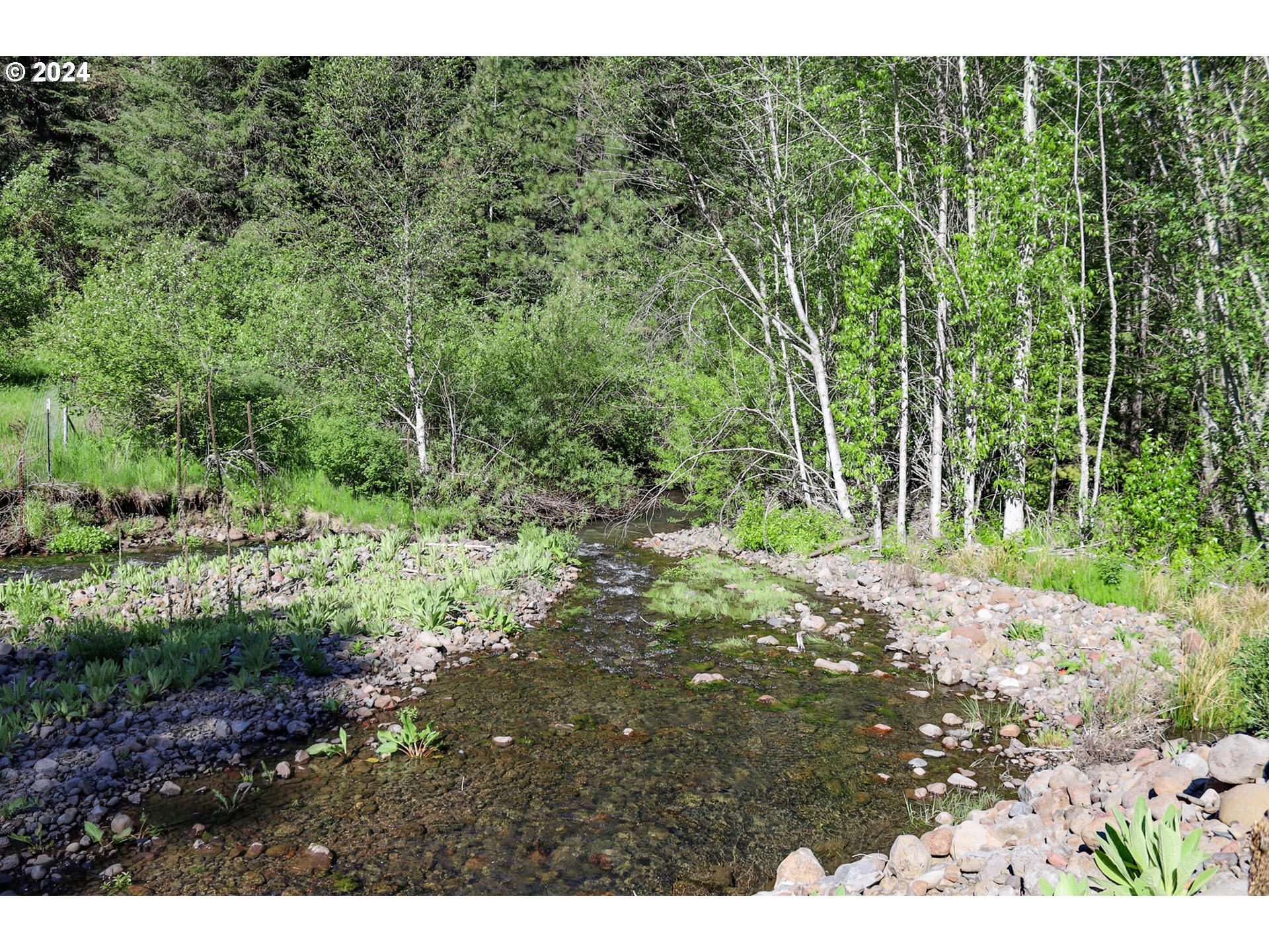 332 Wolf Fork Road Dayton, WA 99328 - Photo 19 of 27