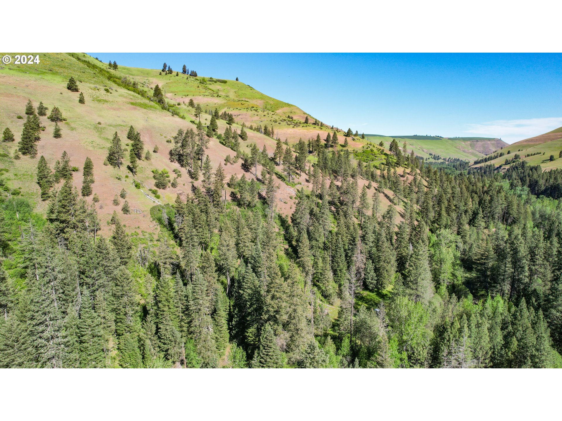 332 Wolf Fork Road Dayton, WA 99328 - Photo 23 of 27