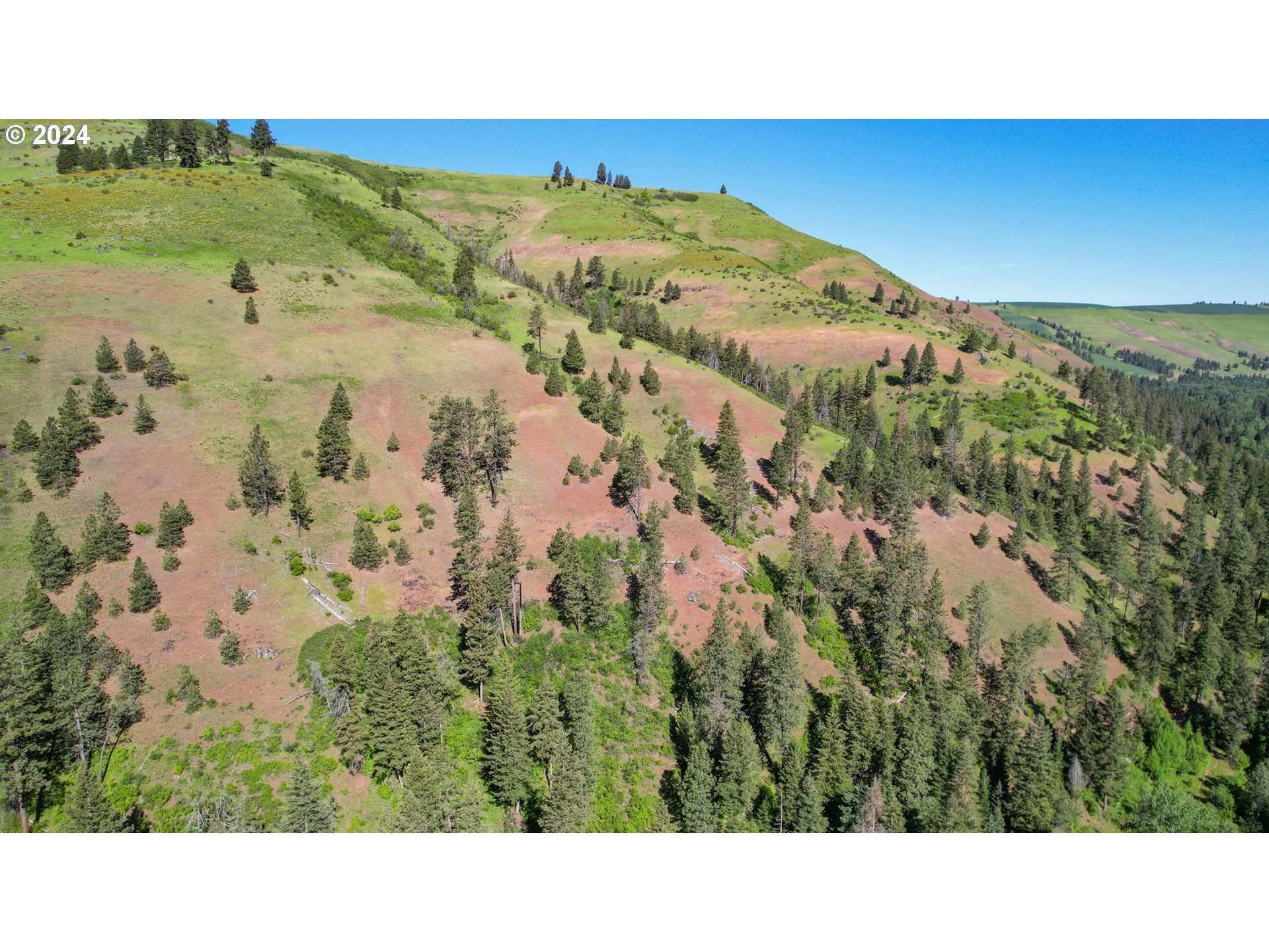 332 Wolf Fork Road Dayton, WA 99328 - Photo 24 of 27